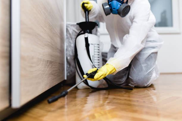 Best Mosquito Control Services  in Orland, CA
