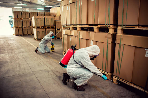 Best Wasp Removal Services  in Orland, CA