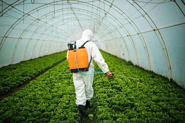 Best Affordable Exterminators  in Orland, CA