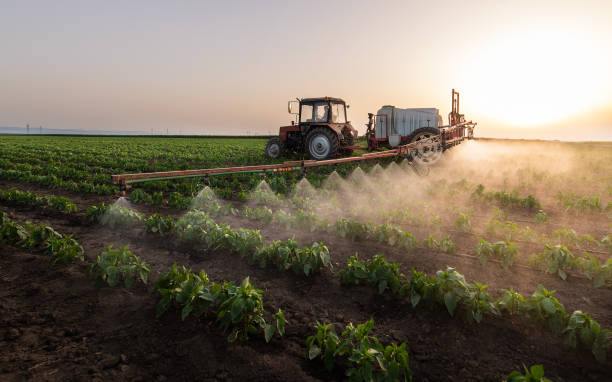 Best Pest Removal Services  in Orland, CA