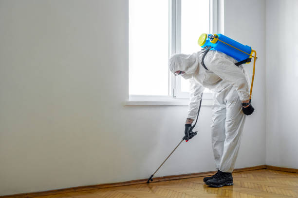 Best Best Pest Control Companies  in Orland, CA