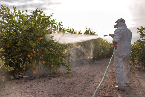 Best Residential Pest Control  in Orland, CA