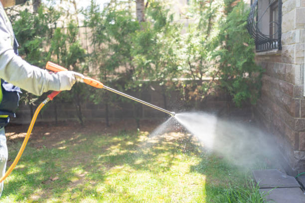 Best Affordable Pest Control Services  in Orland, CA