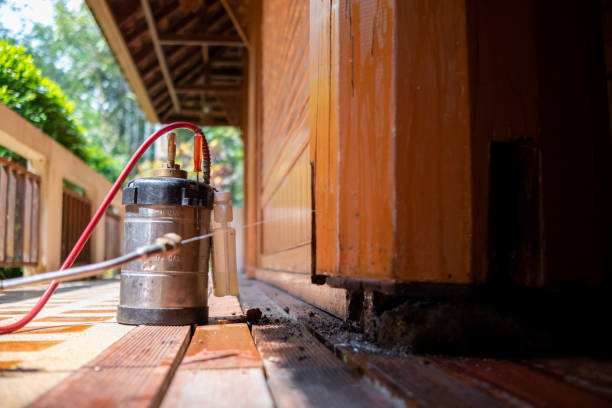 Best Pest Prevention Services  in Orland, CA