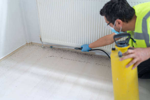 Best Termite Control Services  in Orland, CA