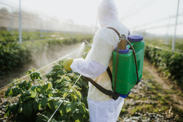 Best Insect Control  in Orland, CA